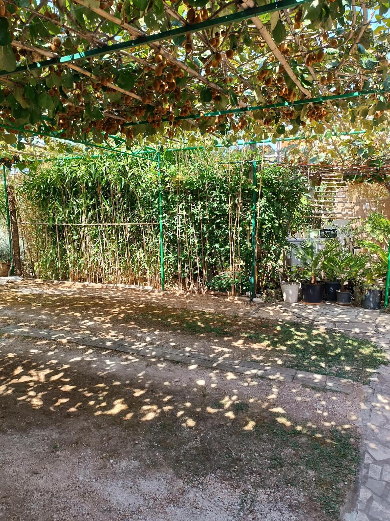 Levak Apartments - Apt. 1 بيشكانا أوفالا المظهر الخارجي الصورة