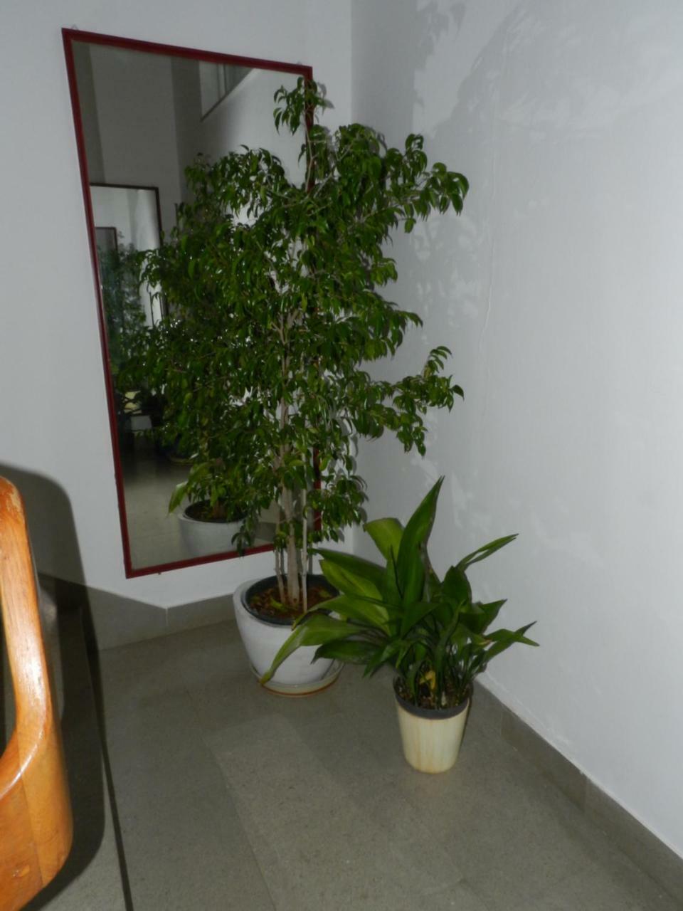 Levak Apartments - Apt. 1 بيشكانا أوفالا المظهر الخارجي الصورة